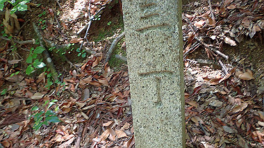p6090644_thumb.jpg