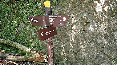 p6090646_thumb.jpg