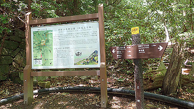 p6090647_thumb.jpg