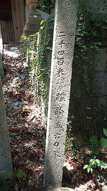 p6090653_thumb.jpg