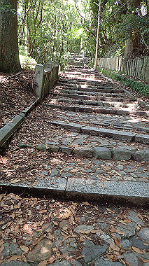 p6090657_thumb.jpg
