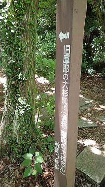 p6090659_thumb.jpg