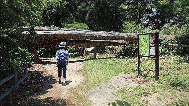 p6090673_thumb.jpg