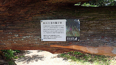 p6090676_thumb.jpg