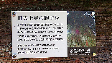 p6090677_thumb.jpg