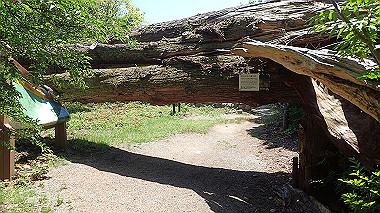 p6090679_thumb.jpg