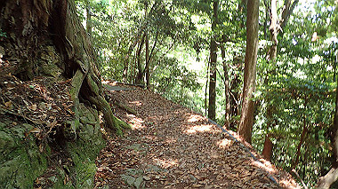 p6090683_thumb.jpg