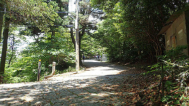 p6090685_thumb.jpg
