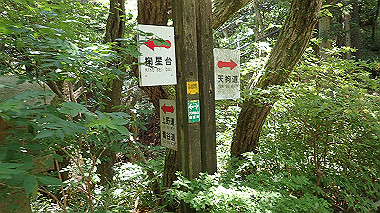 p6090686_thumb.jpg