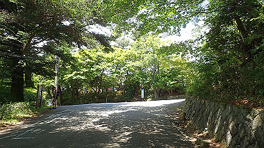 p6090688_thumb.jpg