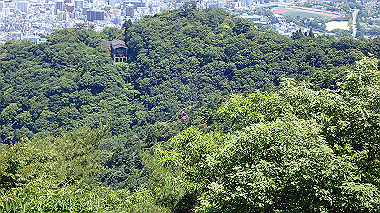 p6090701_thumb.jpg