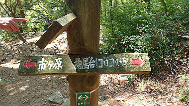 p6090709_thumb.jpg