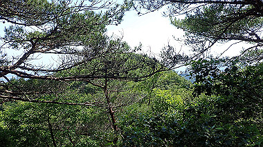p6090717_thumb.jpg