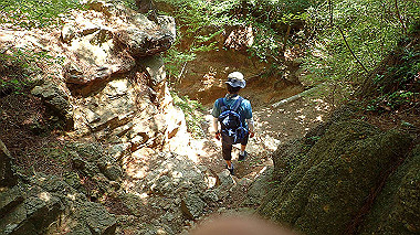 p6090720_thumb.jpg