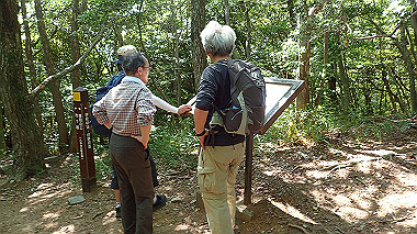 p6090722_thumb.jpg