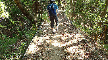 p6090728_thumb.jpg