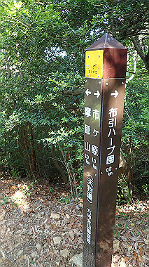 p6090730_thumb.jpg