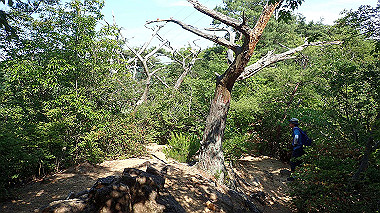 p6090733_thumb.jpg