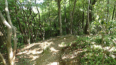 p6090737_thumb.jpg