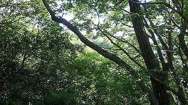 p6090743_thumb.jpg