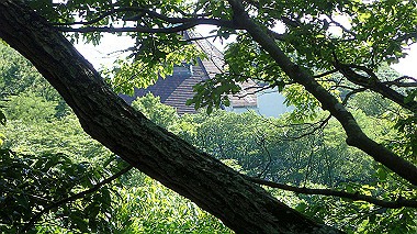 p6090744_thumb.jpg
