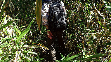 p6090754_thumb.jpg