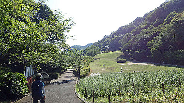 p6090756_thumb.jpg