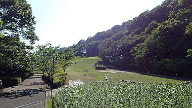 p6090757_thumb.jpg