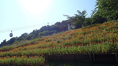 p6090762_thumb.jpg