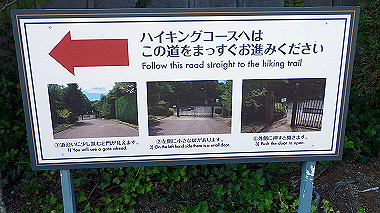 p6090773_thumb.jpg
