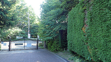 p6090775_thumb.jpg