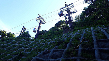 p6090787_thumb.jpg