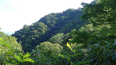p6090789_thumb.jpg