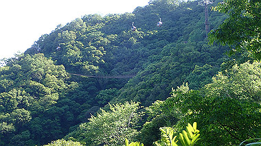 p6090790_thumb.jpg
