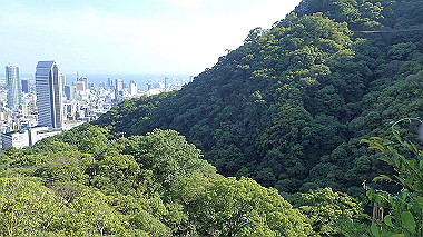 p6090792_thumb.jpg