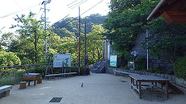 p6090797_thumb.jpg