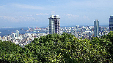 p6090799_thumb.jpg