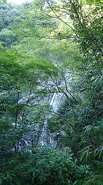 p6090813_thumb.jpg