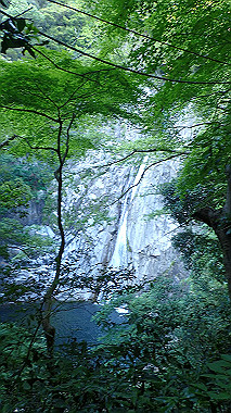 p6090816_thumb.jpg