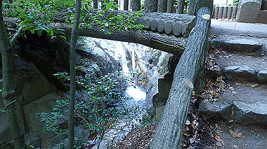 p6090821_thumb.jpg