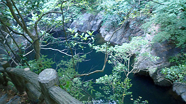 p6090822_thumb.jpg