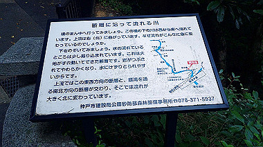 p6090838_thumb.jpg