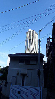 p6090841_thumb.jpg