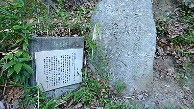 p6090845_thumb.jpg