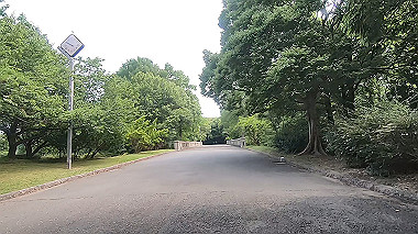 gx016800.mp4_snapshot_02.46_thumb.jpg