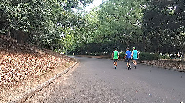 gx016800.mp4_snapshot_03.10_thumb.jpg