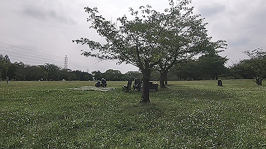 gx016800.mp4_snapshot_04.27_thumb.jpg