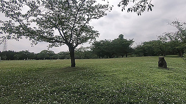 gx016800.mp4_snapshot_04.54_thumb.jpg