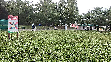 gx016804.mp4_snapshot_00.00_thumb.jpg