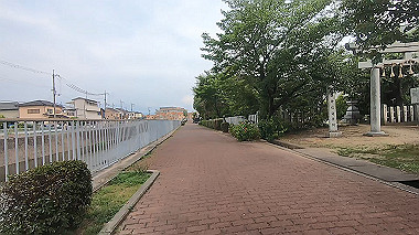 gx016806.mp4_snapshot_13.02_thumb.jpg